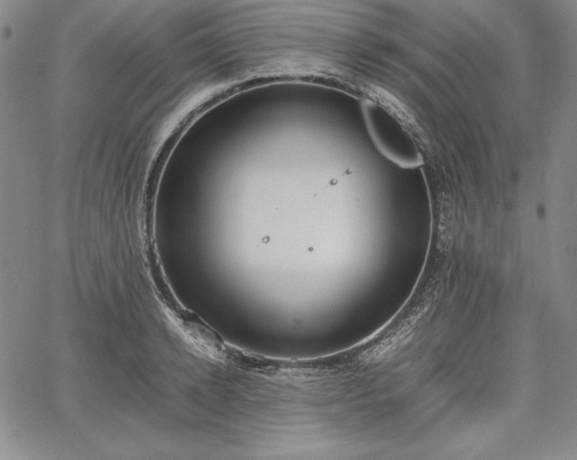 X0000067870942200604201214