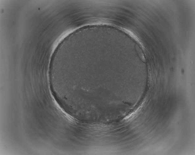 X0000067870943200604201214