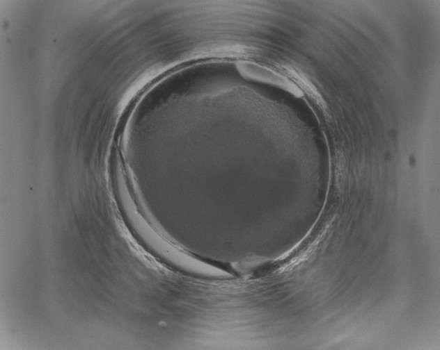 X0000067870944200604201214