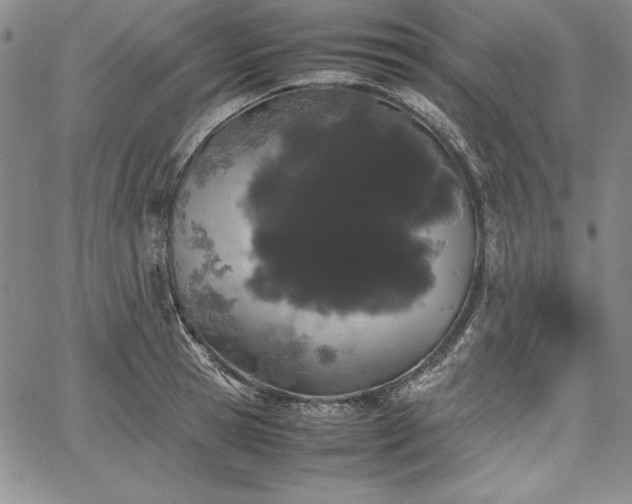 X0000067870945200604201214