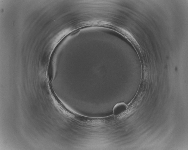 X0000067870946200604201214