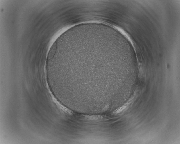 X0000067870951200604201214