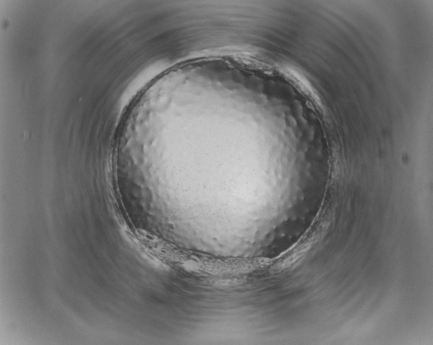 X0000067870952200604201214