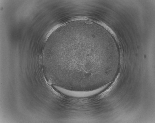 X0000067870953200604201214