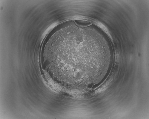 X0000067870954200604201214