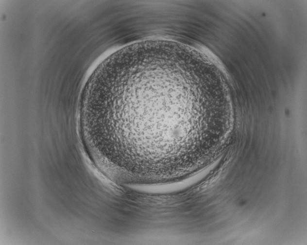 X0000067870955200604201214