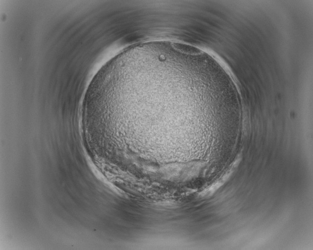 X0000067870957200604201214