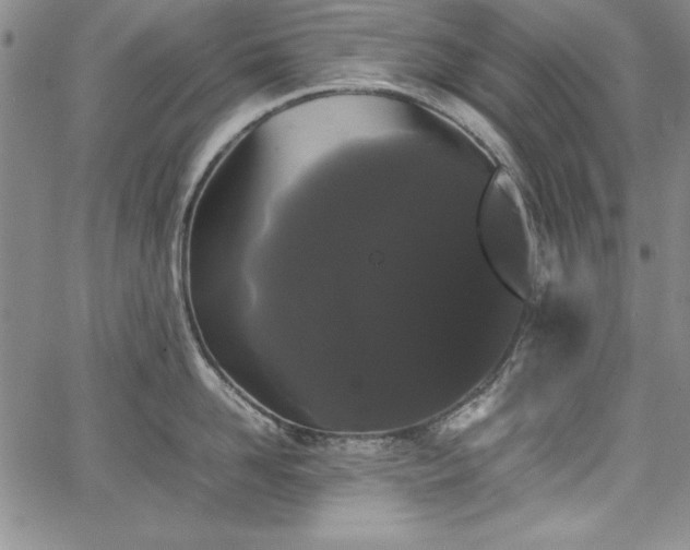 X0000067870958200604201214