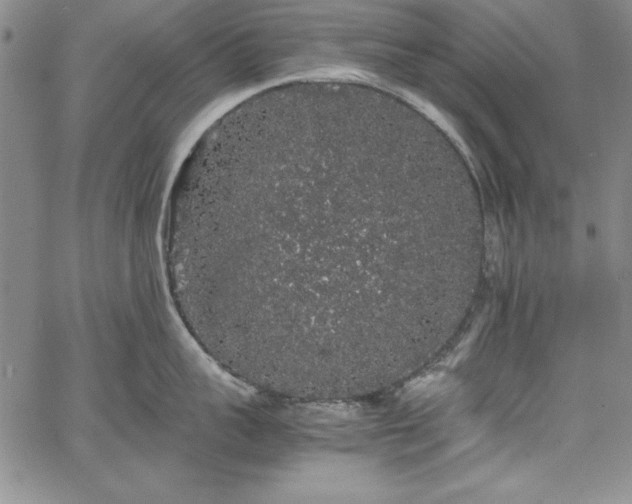 X0000067870959200604201214