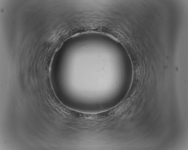 X0000067870961200604201214