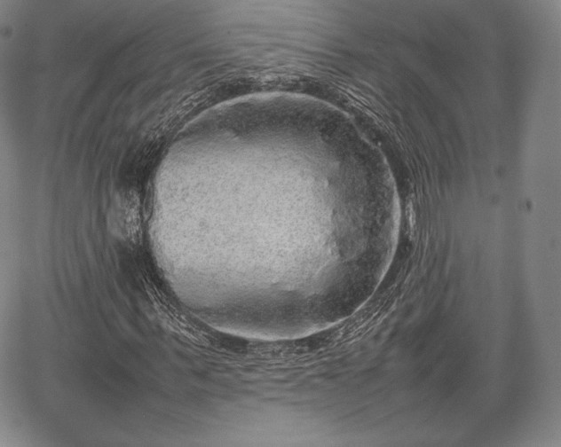 X0000067870963200604201214