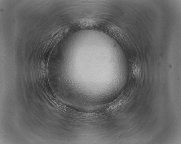 X0000067870964200604201214