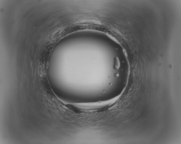 X0000067870965200604201214