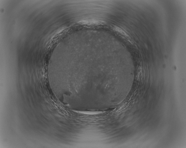 X0000067870966200604201214