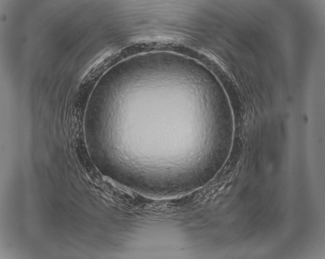 X0000067870967200604201214