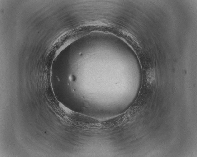 X0000067870968200604201214