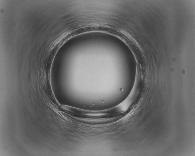 X0000067870969200604201214