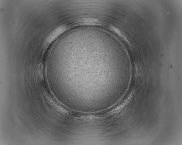 X0000067870970200604201214