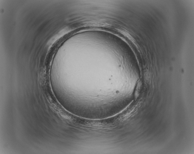 X0000067870971200604201213