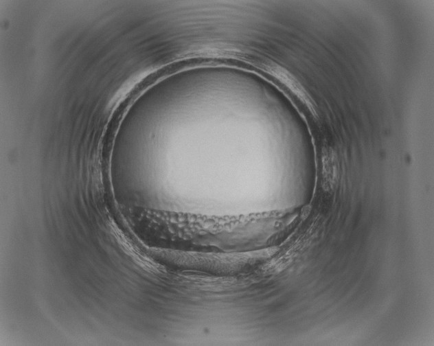 X0000067870972200604201213