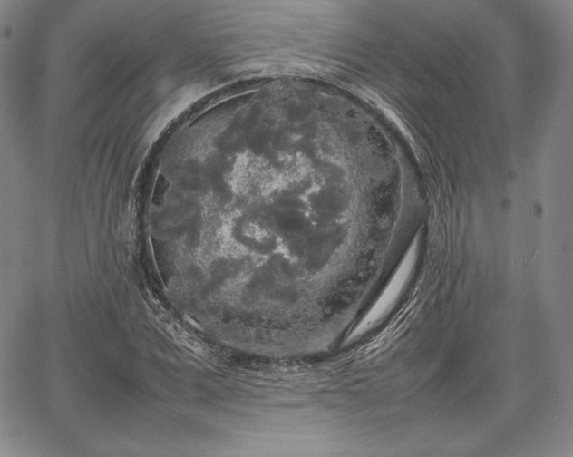 X0000067870975200604201213