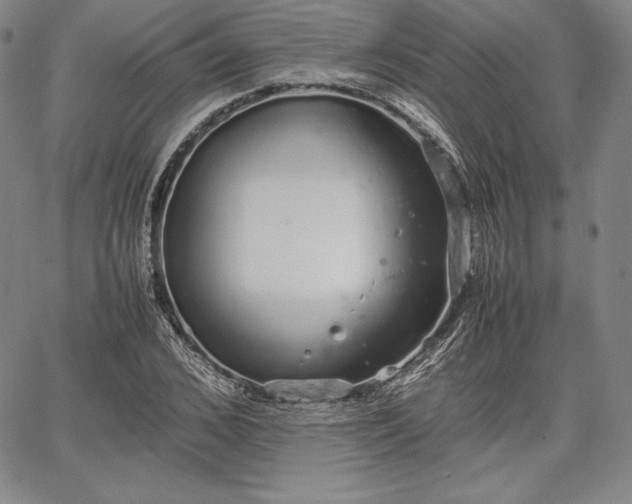 X0000067870976200604201213