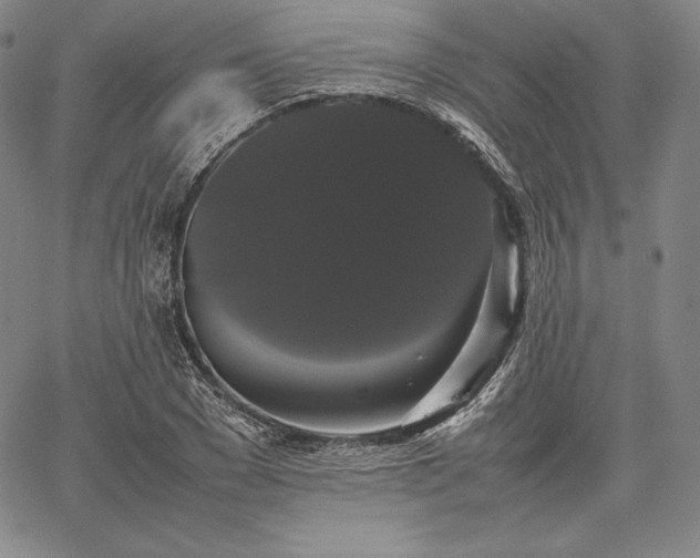 X0000067870977200604201213