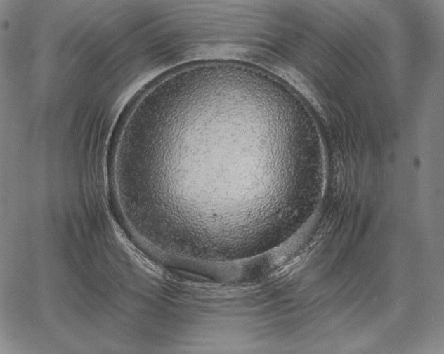 X0000067870980200604201213