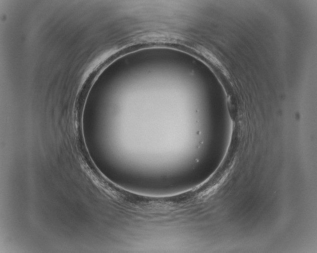 X0000067870981200604201213