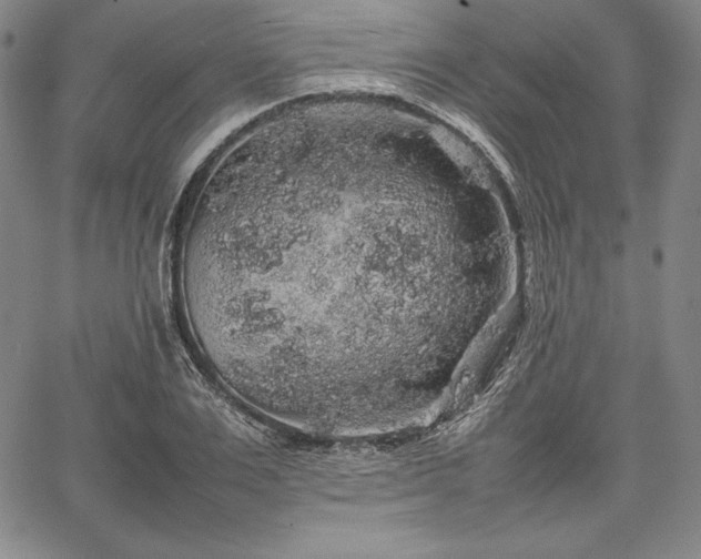 X0000067870983200604201213