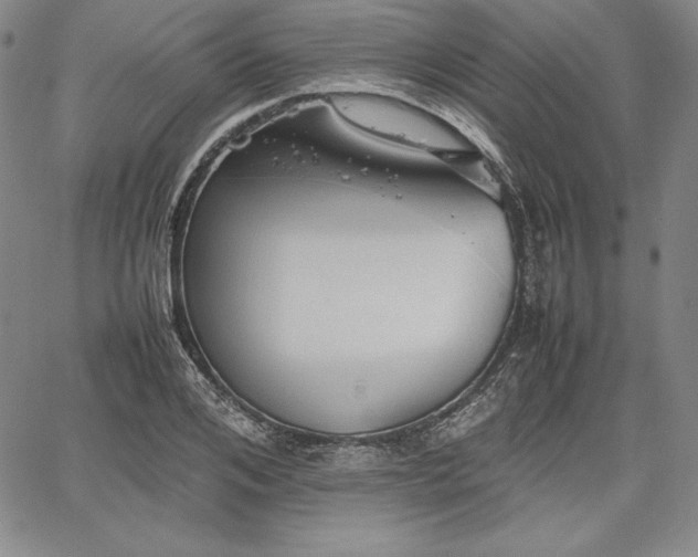 X0000067870984200604201213