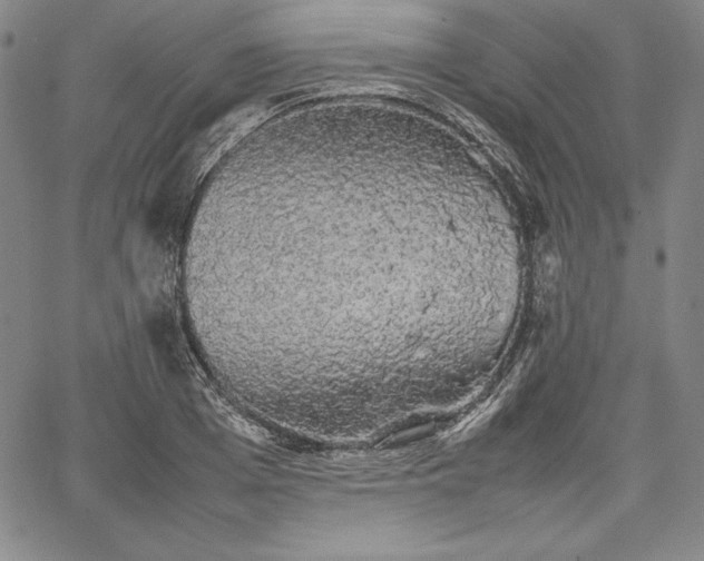 X0000067870985200604201213