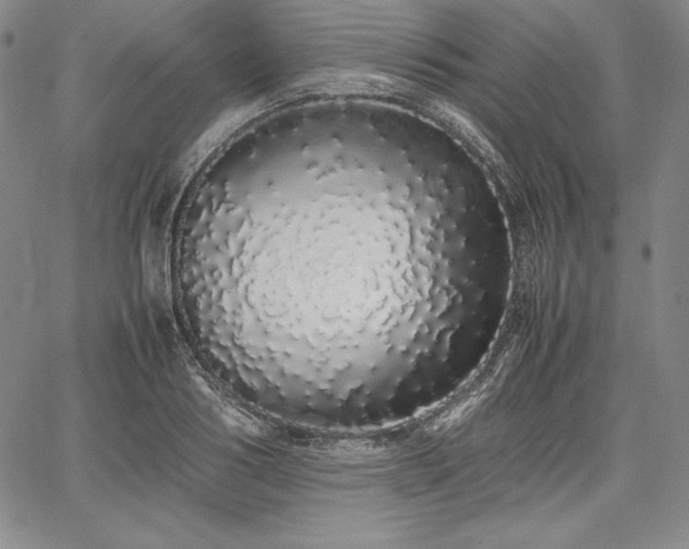 X0000067870986200604201213