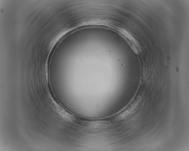 X0000067870988200604201213