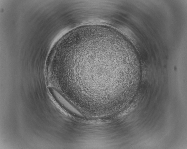 X0000067870990200604201213