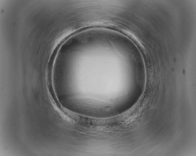 X0000067870991200604201213