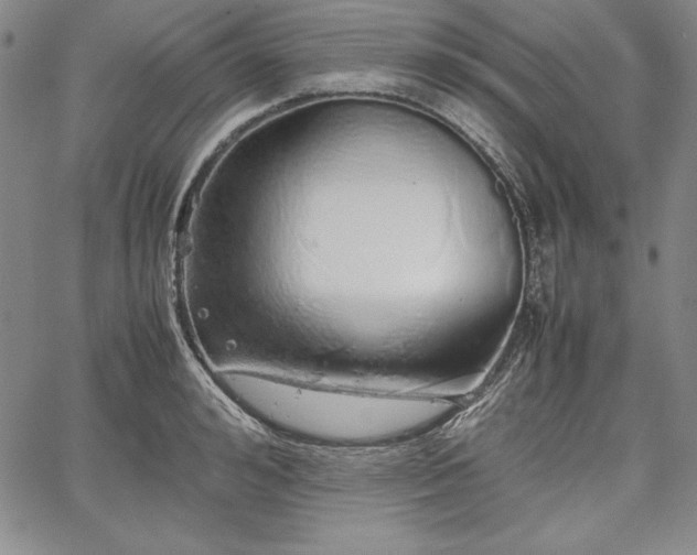 X0000067870992200604201213