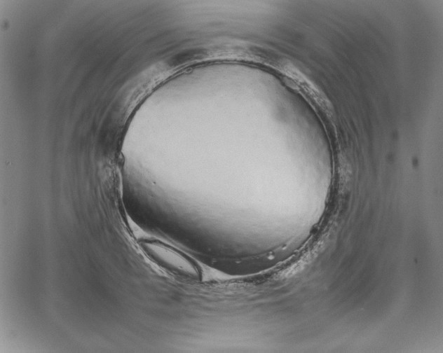 X0000067870993200604201213