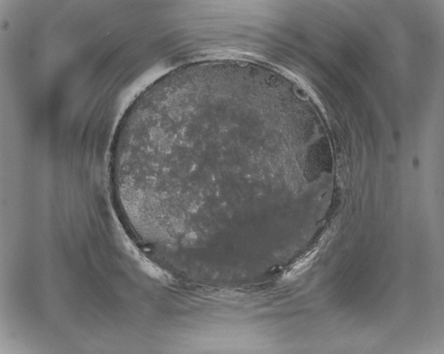 X0000067870995200604201213