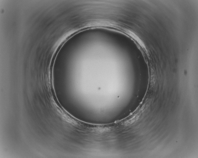 X0000067870996200604201213