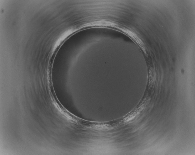 X0000067870998200604201213