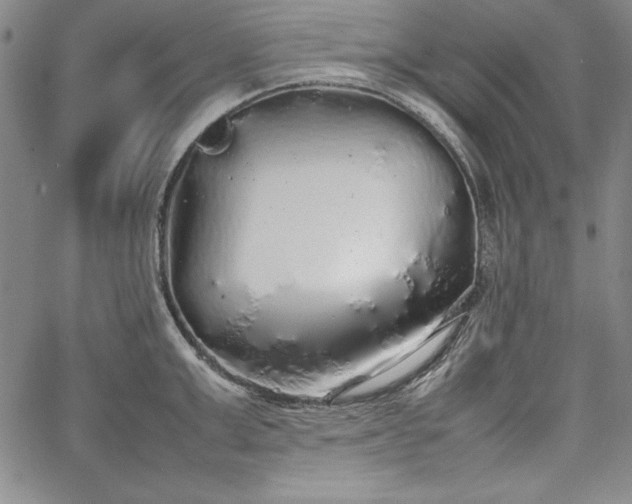 X0000067870999200604201213