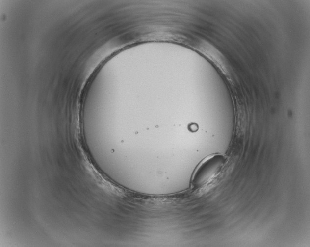 X0000067871000200604201213