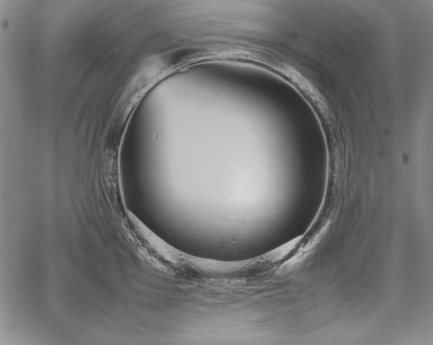 X0000067871001200604201213