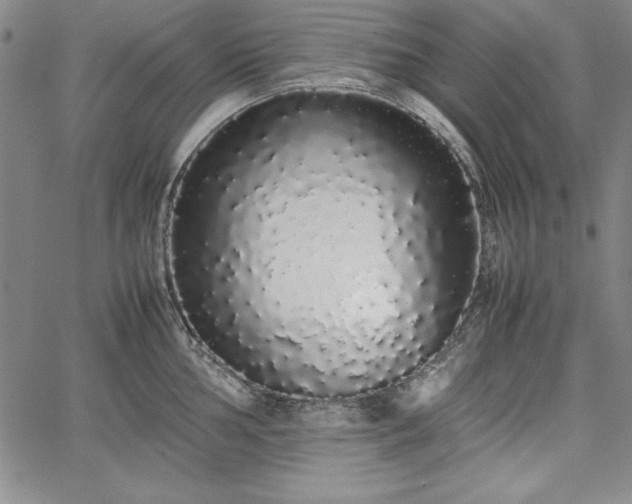 X0000067871002200604201213