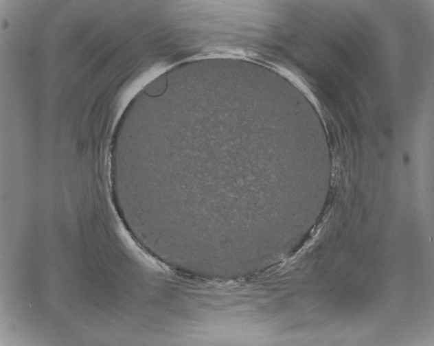 X0000067871003200604201213