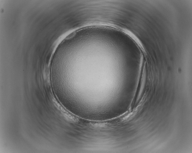 X0000067871004200604201213