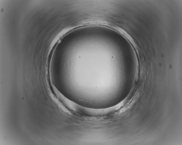 X0000067871005200604201213