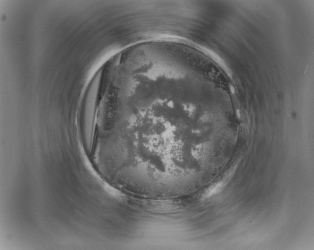 X0000067871007200604201213