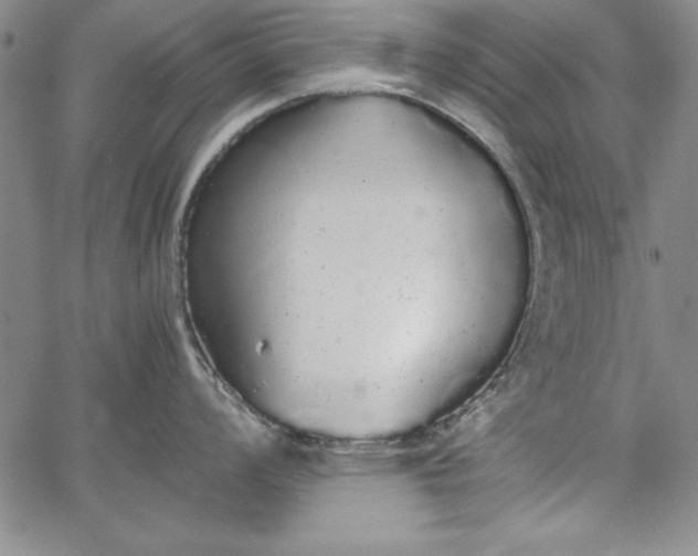 X0000067871008200604201213